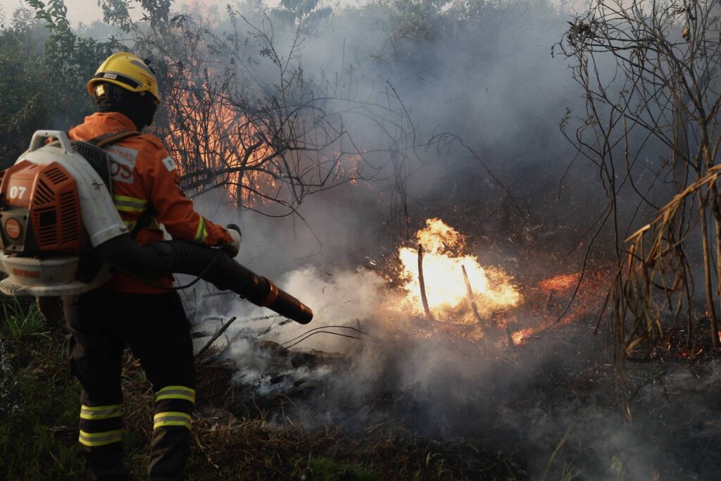 Calor afeta de modo diferente regiões e grupos de pessoas – 14/02/2025 – Marcia Castro