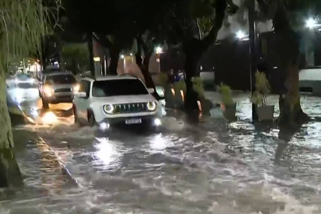 Temporal provoca alagamentos e quedas de árvores no Rio – 20/12/2024 – Cotidiano