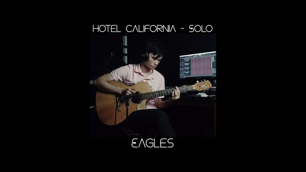 one of the best guitar solos ever 🎸🤘#hotelcalifornia #eagles  #solo #fingerstyle #shorts