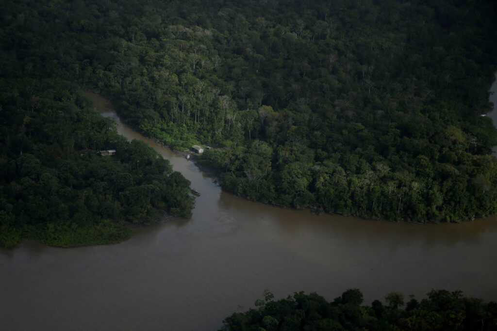 Quem se importa com os manguezais do Amapá – 09/03/2025 – Marcelo Leite