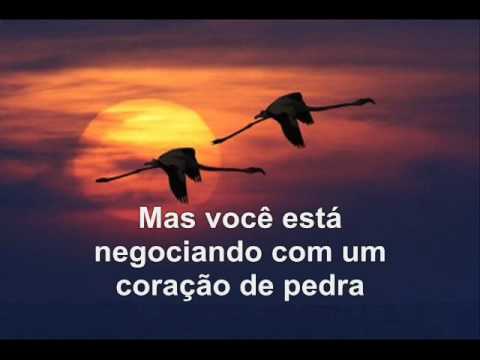 Bee Gees – Wish You Were Here (Tradução)